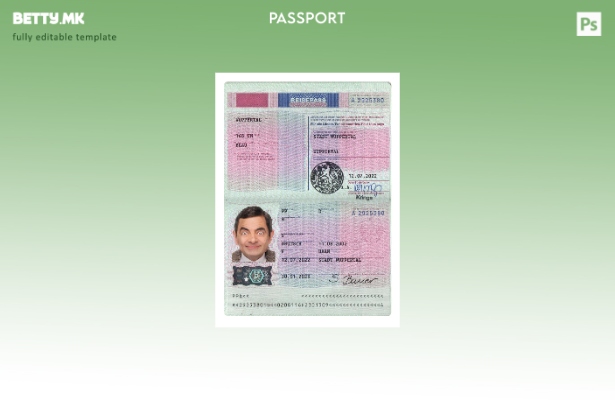 Модерен стил, сегашен шаблон за германски пасош